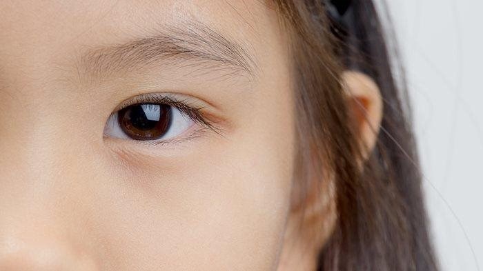 /COO/media/Media/Card images/STOCK CARD IMAGES/STOCK-CARD-IMAGE-child-brown-eye.jpg